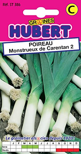 Graines de Poireau Monstrueux de Carentan 2-3 grammes