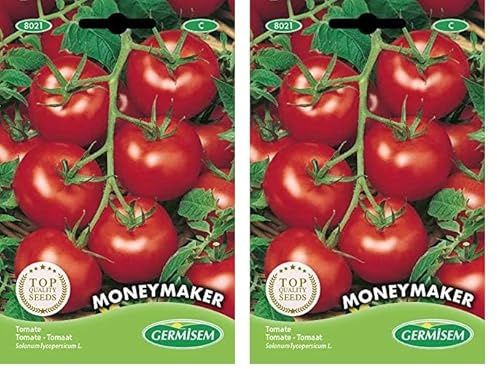 Germisem Moneymacker Semillas de Tomate 1.5 g (EC8021) (Paquete de 2)