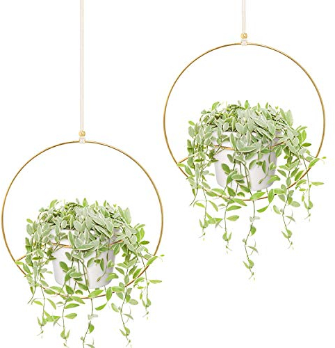 Mkouo Boho Hängepflanzen, 2 Stück, rund, aus Metall, mit Topf aus Kunststoff, moderner Blumenkasten für Wände und Decken, geeignet für Blumenkästen von 15 cm, goldfarben (Töpfe inklusive)