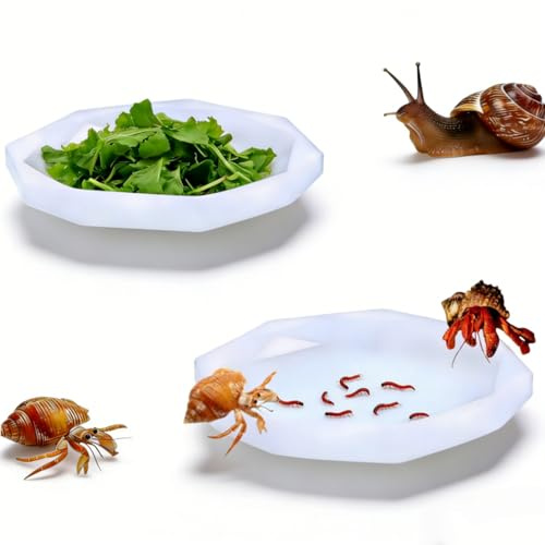 Snail Food and Water Bowl, Pet Snail Feeder, Small Reptile Food Dish Bowl Silicone Calcium Dish for Land Snails Lizard Gecko Bearded Dragon Chameleon and Hermit Crab (White, 2 Pcs)