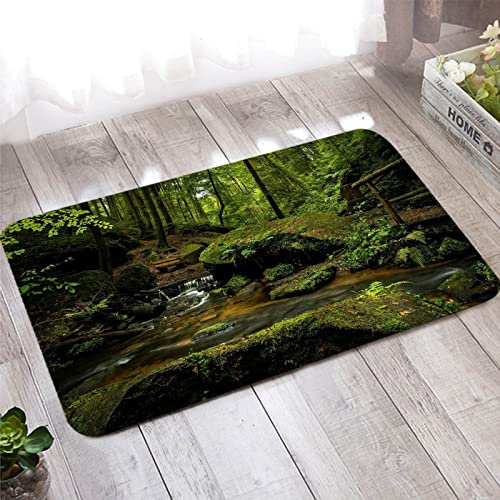 Bishilin Badematte rutschfest 60x90, Fußmatte Waschbar Landschaft Motiv Wald Fluss Steine Muster Badvorleger Teppich Wohnzimmer