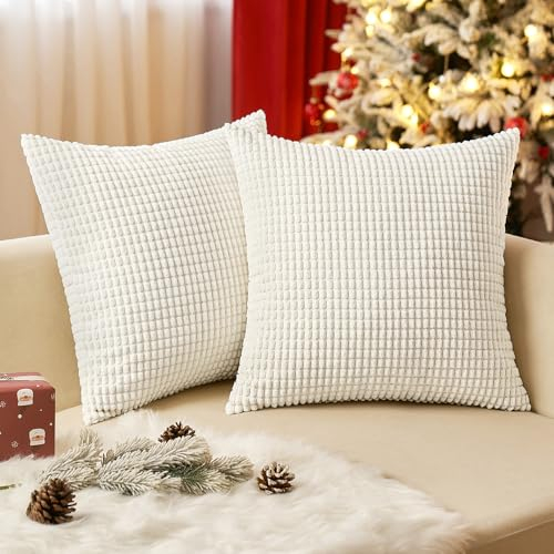 EMEMA Kordsamt Kissenbezug Granulat Dekorative Sofakissen Dekokissen Kissenbezüge Couchkissen Kissenhülle Weich Kissen Bezug Zierkissen für Sofa Couch Wohnzimmer 2er Set 60x60 cm Beige