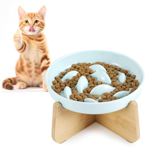 HAPPY HACHI Ciotola Anti Ingozzamento per Gatti, Ceramica Ciotole Rialzate Alimentazione Lenta Gatto con Antiscivolo Bordo Elevato Ciotole Mangiare Lentamente per Animali Anti-Soffocamento (Verde）