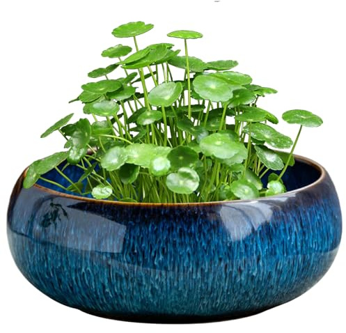 Gcroet Pot de Fleurs en céramique pour Plantes hydroponiques, Bol de Lotus d'eau, Pot Fleurs Multi-Usage pour Plantes succulentes, et Aquatiques (16, 5 x 6, 5 cm)