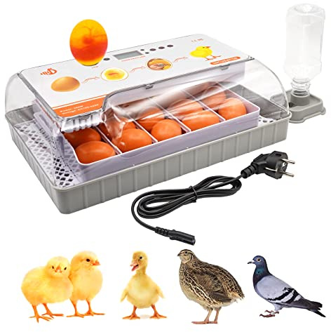 Incubadora Automática para 20 Huevos, Incubadora Huevos Codorniz con Rotación Automática y Control de Temperatura, Pantalla LED Digital para Gallinas, Patos, Gansos, Palomas, Codornices