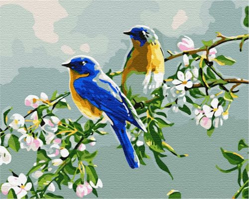 Artnapi Dipingere con i numeri, adulti con cornice, dipinta a mano, animali, uccelli, kit per principianti e adulti, set con colori acrilici e pennelli, tela da 40 x 50 cm, ideale come regalo