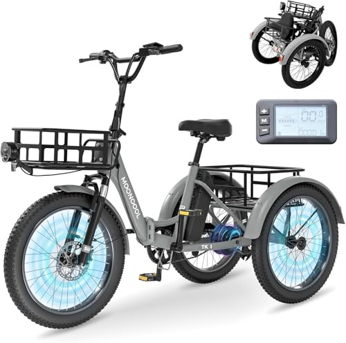 MOONCOOL E Bike Klapprad, 20 Elektrofahrräder für Herren Damen, 36V 20AH Akku, 250W Motor 45 Nm, LCD-Display, IP65 Wasserdicht, 3 Fahrmodi, mit Großen Körben & Fußstützen