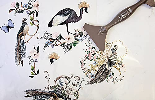 Redesign with Prima - Rare Birds Small Transfers 6x12 3 Sheets Rub on Transfers for Furniture Vintage Rub on Transfers Stickers for Crafts Classic Spring Summer Autumn Decoration