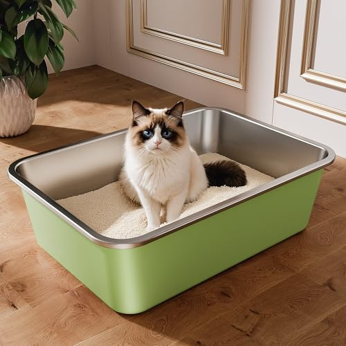 Bac Litiere pour Chat en INOX, Bac à Litière pour Grands Chats, Chatons et Lapins, Caisse Chat Litiere XXL, Litiere Toilette pour Maine Coon, Anti-Adhérent, Anti-Odeurs (Vert, 50 * 35 * 15cm)