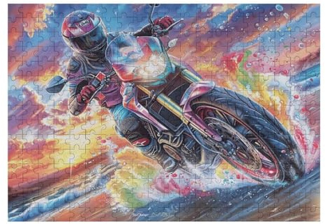 Piloto de Motocross al Atardecer Puzzles 300 Piezas Juguete Educativo 3D Interactivo Happy Time Rompecabezas Familiar para Toda La Familia Entretenimiento Creativo Decorativo 300 PCS