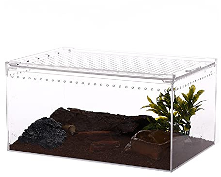 NANEEZOO Magnetic Large Enclosure 2.5 Gallon 12 x 8 x 6 Inch Reptile Breeding Box Terrarium Cage for Insect Tarantulas Amphibians Caterpillars Snail Clear Reptile Feeding Box