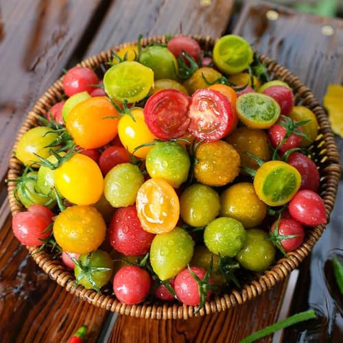 Semi di pomodoro ciliegino - semi di da frutto colonnari resistenti da frutto colonnare frutteto esotiche resistenti per il giardino pomodorini per balcone 50pcs