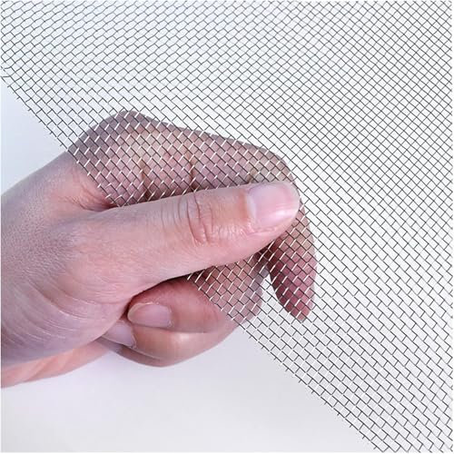 Rete Inox 304 a Maglia Piccola, Maglia Metallica Resistente per Ventilazione, 12 Maglie Barriera Anti-Insetti, Filtro Aria, Recinzioni, Griglia Sicurezza (Silver 1x2m)