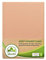 leevitex® Premium Spannbettlaken 180x200–200x220 cm | 40 cm Steghöhe – für Standard-, Boxspring- & Wasserbetten | 100% Mako-Jersey-Baumwolle | ÖKO-TEX Zertifiziert | 170 g/m² | Leinen/Apricot