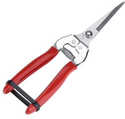 Forbici Giardinaggio, Acciaio Inox Forbici Da Giardino Strumento Bonsai per Fiori Ortaggi Piante e Uva (Dritto)