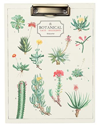 Grupo Erik Portablocco A4 con Pinza Botanical Cacti - Cartella Portadocumenti Rigida con Clip, Block Notes e Tasca Interna | Cancelleria Botanical Cacti Collection
