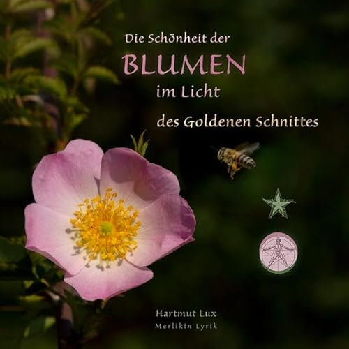 Die Schönheit der Blumen im Licht des Goldenen Schnittes