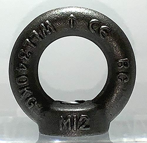 BIAT ® Tuerca anular, tuerca anular, tuerca de transporte, tuerca de ojo según DIN 582, tamaños M6, M8, M10, M12, M16, M20, M24, cruda/blanco (M20).