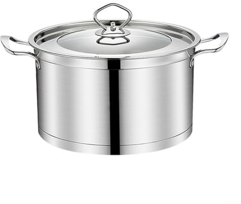 HEBEOT Olla de sopa de acero inoxidable de 24 cm con tapa de vidrio y vaporera de inducción y gas compatible con acabado de espejo, para guisos, cazuelas y tostado lento