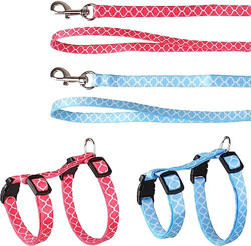 Cat Harness with leash Kitten Amsi Multiple colours 15-25cm 20-35cm 100cm 10mm