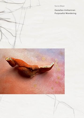Nanne Meyer: Gezieltes Umherirren. Purposeful Wandering