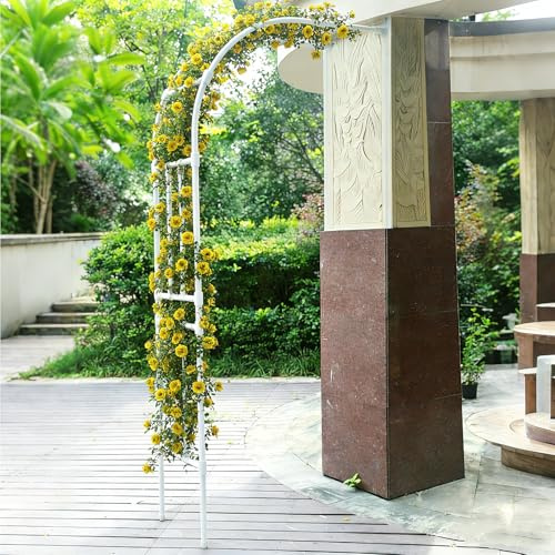Dexinhdh Arche De Jardin Latérale, Treillage Métallique pour Plantes Grimpantes, Conception Modulaire, Grande Arche Décorative pour Jardin, Idéale pour Les Fleurs, Les Légumes(White,240cm)