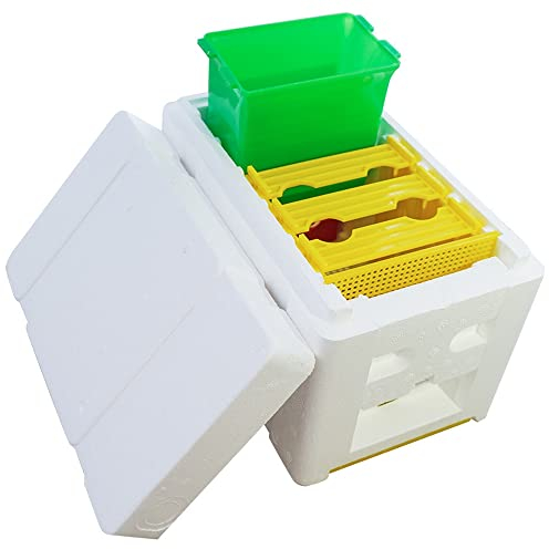 HunterBee Bienenstock König Aufzucht Box Bienenzucht Werkzeuge Zubehör Imkerei Ausrüstung