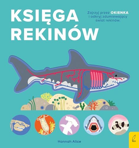 Księga rekinów Encyklopedia z folią