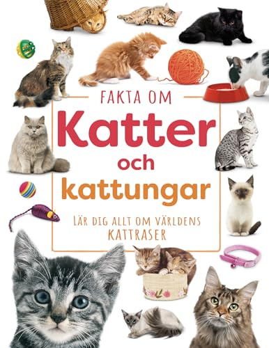 Fakta om katter och kattungar : lär dig allt om världens kattraser