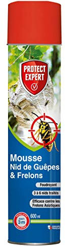 PROTECT EXPERT Aérosol Anti Guêpes & Frelons - 600ml - Mousse Et Jet Longue Portée - Traitement A Distance - Pulvérisation Jusqu’à 3 Mètres - Action Choc & Foudroyante GUEPMOUS600