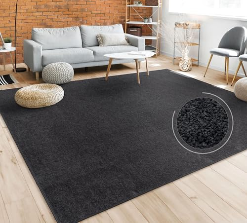 Paco Home Tappeto Pelo Corto, Lavabile, Monocolore, Semplice e Moderno, per Soggiorno, Camera da Letto e Ingresso, Dimensione:80x150 cm, Colore:Nero