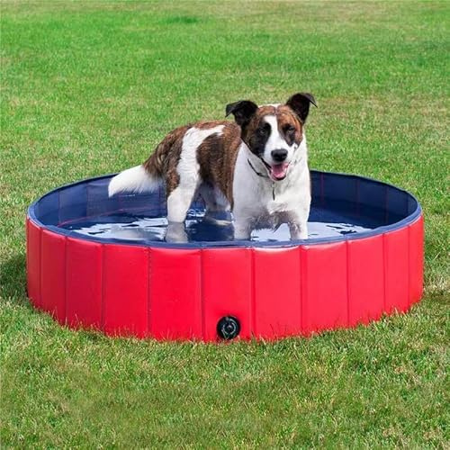 Hopfällbar hundpool, Oxford Cloth Pet Pool & Ta en dusch 2-i-1, Antisladd med vattenutlopp, Portabel för små medelstora husdjur, Inomhus utomhusbruk Red 120×30cm