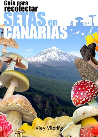 Guía para recolectar SETAS en Canarias: Micología básica, identificación correcta, localización en Canarias, setas comestibles, medicinales y tóxicas