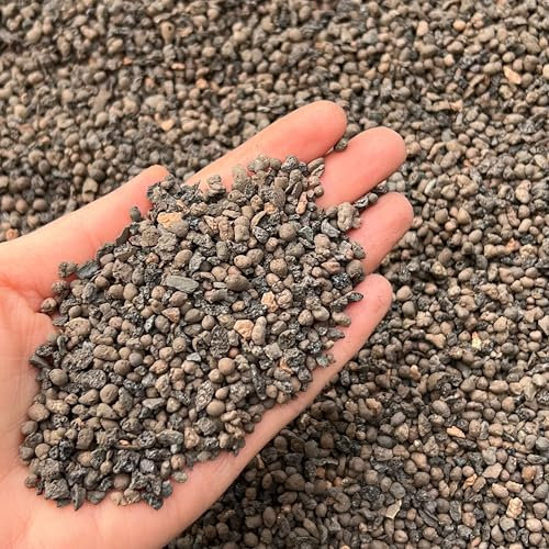 Leca Grains horticoles, galets d'argile, pierre de lave, grade fin 2–4 mm, 1 L (3 L)