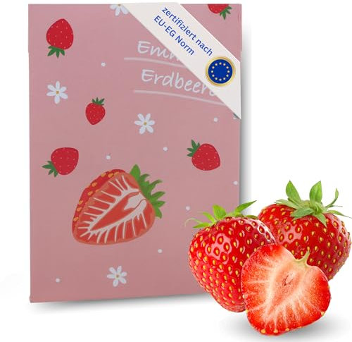 HAVENHAUS Erdbeer Samen MADE IN GERMANY | Speziell für Kinder in schönem Design | kinderfreundliche Anleitung auf Rückseite | Erdbeeren Samen Anzucht | drinnen & draussen | Erdbeer Samen mehrjährig