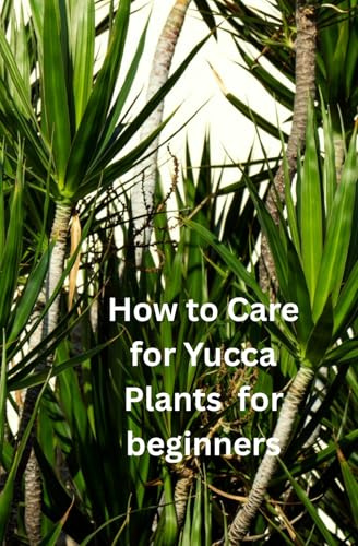 How to Care for Yucca Plants for beginners: Yucca plant care for Beginners: A Simple Guide to Yucca Plant Success
