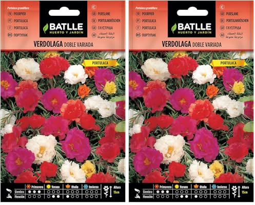 Semillas Batlle Verdolaga DOBLE Vda. (Portulaca) (Paquete de 2)