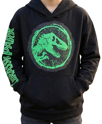 Jurassic Park Boys Pullover Hoodie, Dinosaur Graphic Fleece Sweatshirt, Sizes 6-20 Black