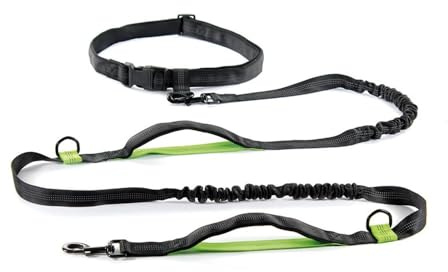 Record - Guinzaglio per Cani Jogging – Guinzaglio Estensibile – Realizzato in Nylon – Con Estensore Elastico Anti-Strattoni - Lunghezza 215-270 cm – Colore Nero e Verde