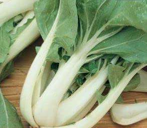 315 Seeds of Pak Choi White Stemmed