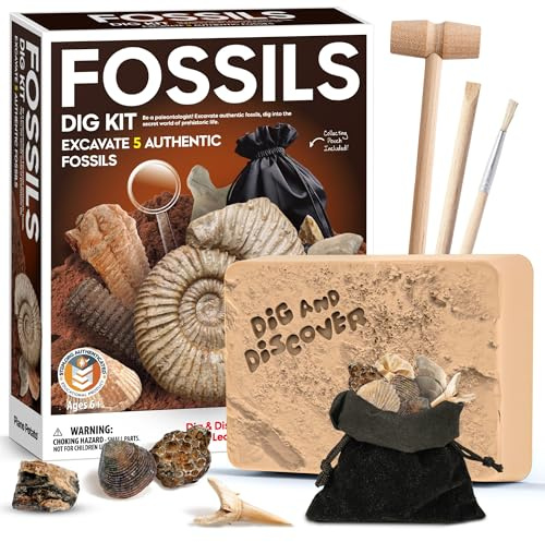 Piano Potato Kit de Excavación de Fósiles para Niños, desentierra 5 fósiles auténticos, Juguete Educativo Stem, Regalo de geología y paleontología para niños y niñas de 6 a 12 años