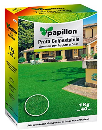 SEMENTI PAPILLON X PRATO CALPESTABILE