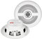 Renegade RXM52W Marine-Lautsprecher 160 W Inhalt: 1 Paar