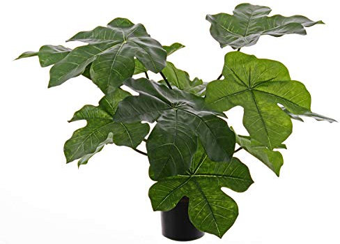 artplants.de Ceropegia Textil LONY, Verde, 50cm - Enredadera Rosario simulada/Planta Colgante/Planta Textil