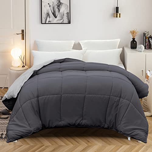 MOHAP Couette Bicolore 4 Saisons 200x200cm Hypoallergénique Gris Foncé + Gris Clair Couette de Lit Réversible 2 Personnes