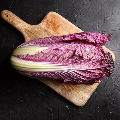 Semi di Pak Choi, Semi di cavolo cinese biologici, semi di vecchie varietà rare da appartamento giardino sul balcone 100pcs
