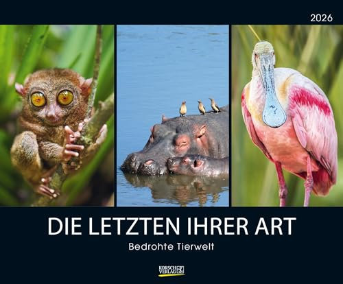 Bedrohte Tierwelt 2026: Großer Wandkalender mit spektakulären Naturaufnahmen. PhotoArt Kalender. Querformat: 55 x 45,5 cm
