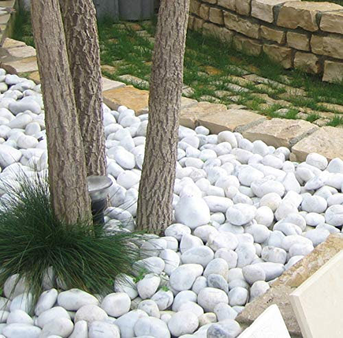 Seat Flor srl® CIOTTOLO Bianco Carrara, Pietra Bianca per Giardino, ciottoli bianchi per giardino e aiuole (20 kg.) (misura 25/40 mm.)