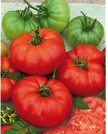 POMODORO PANTANO ROMANESCO NR.200 SEMI