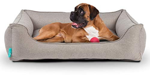 Hyggins Dreamer Plus Hundebett | Orthopädisch, Bezug abnehmbar und waschbar | Boden wasserabweisend (M 80 x 60cm, Graubeige)